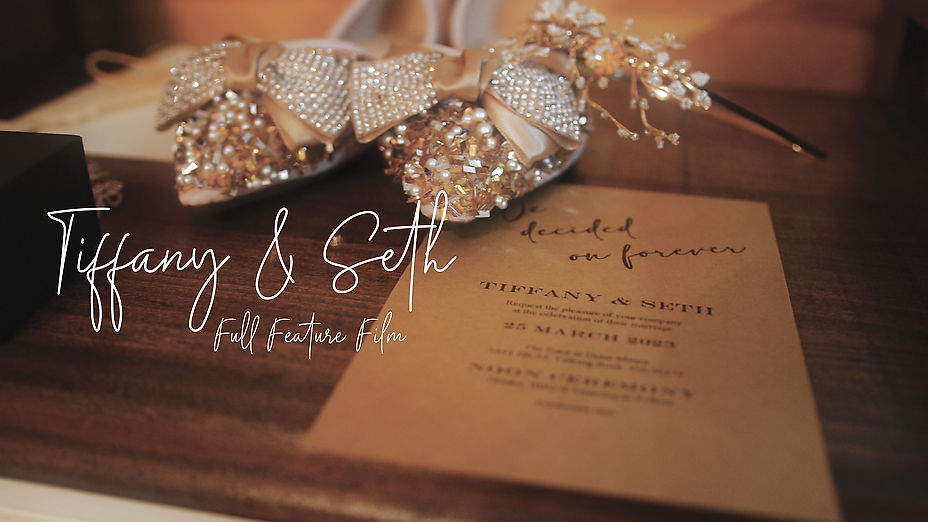 Tiffany & Seth Wedding Full Feature HD